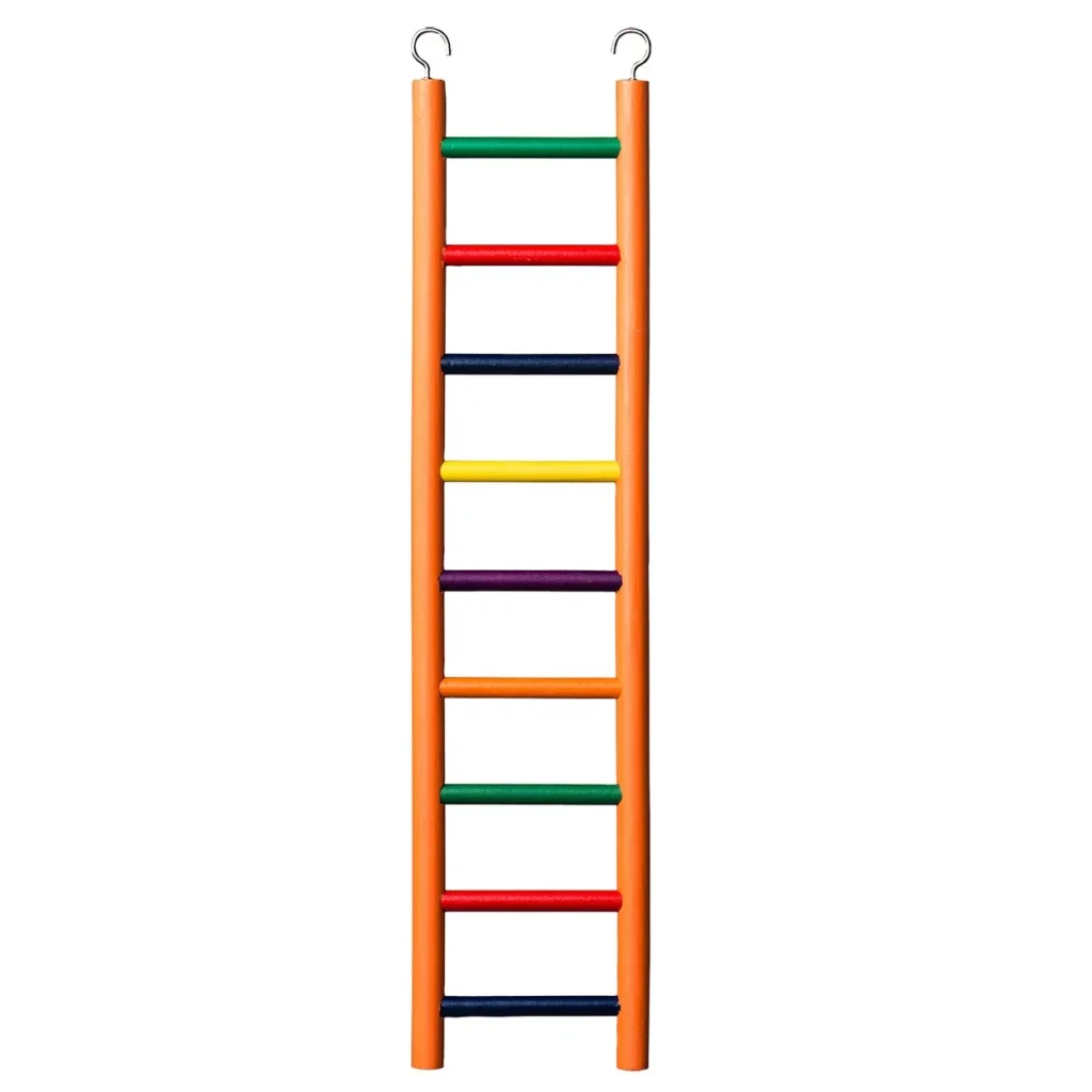 Colorful Bird Ladder