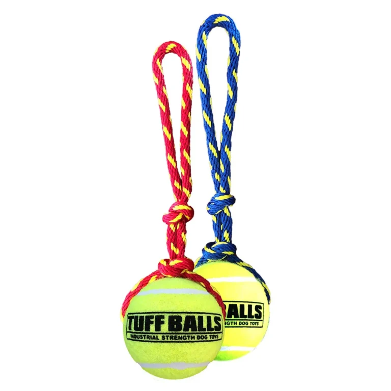 Fling Thing Rope and Ball Toy